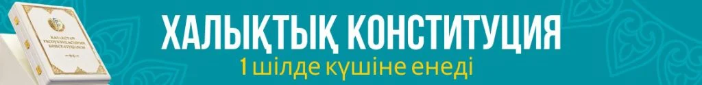 Конституция